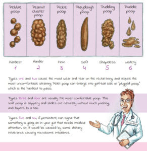 poop chart preview